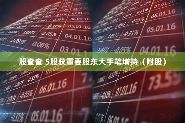 股查查 5股获重要股东大手笔增持（附股）