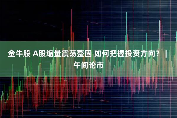 金牛股 A股缩量震荡整固 如何把握投资方向？ | 午间论市