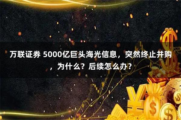 万联证券 5000亿巨头海光信息，突然终止并购，为什么？后续怎么办？